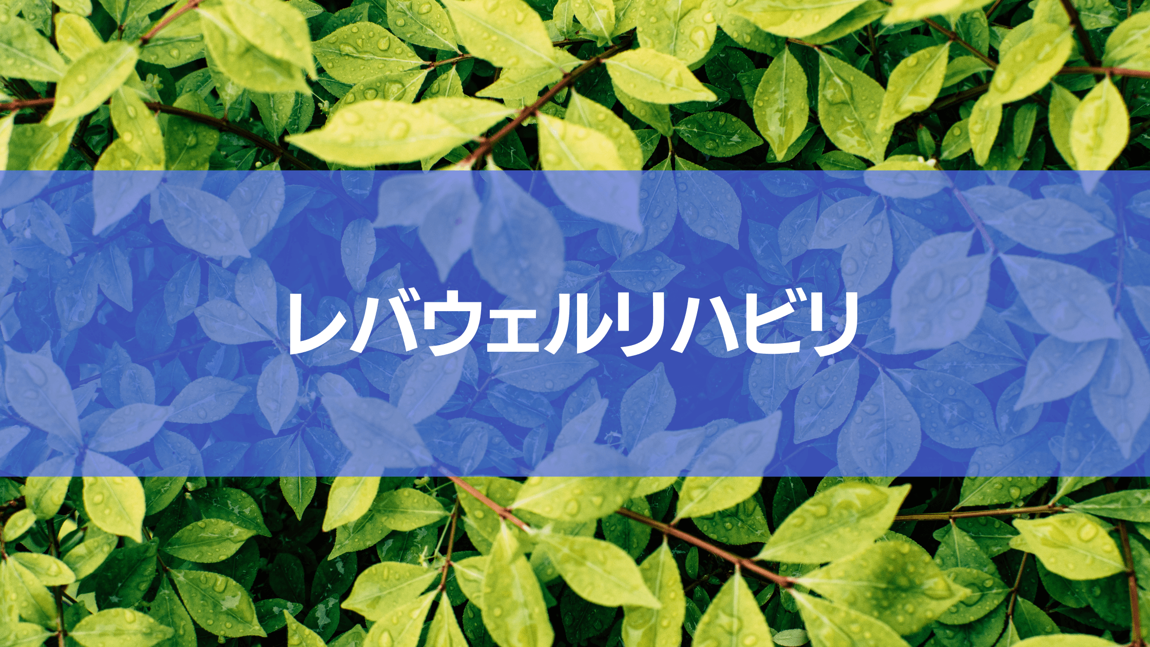 レバウェルリハビリもおすすめです。