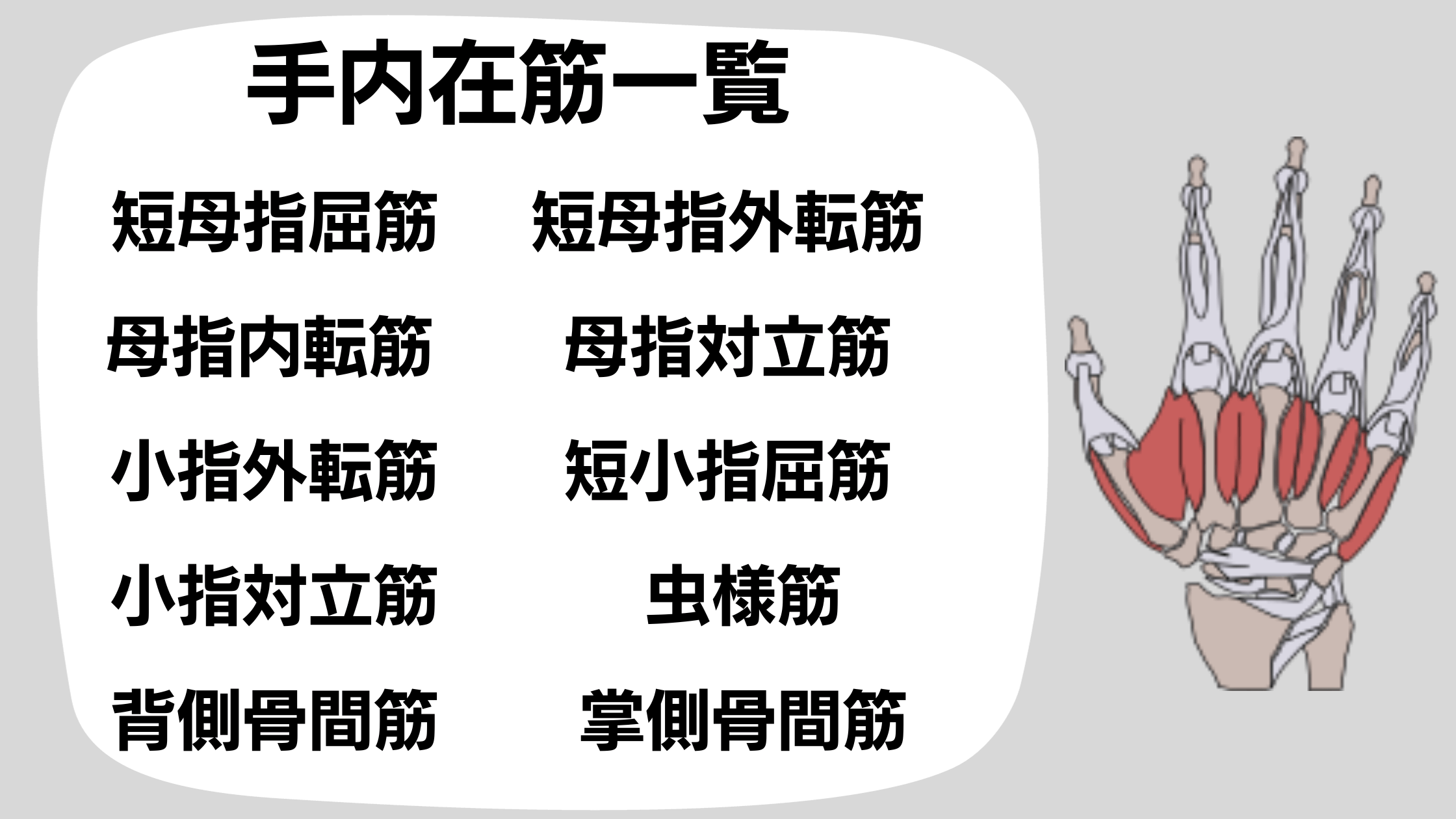 手内在筋一覧です。